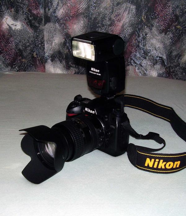 foto k příspěvku  od Baldy-DLS