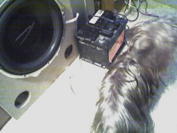 foto k příspěvku  od corradoman