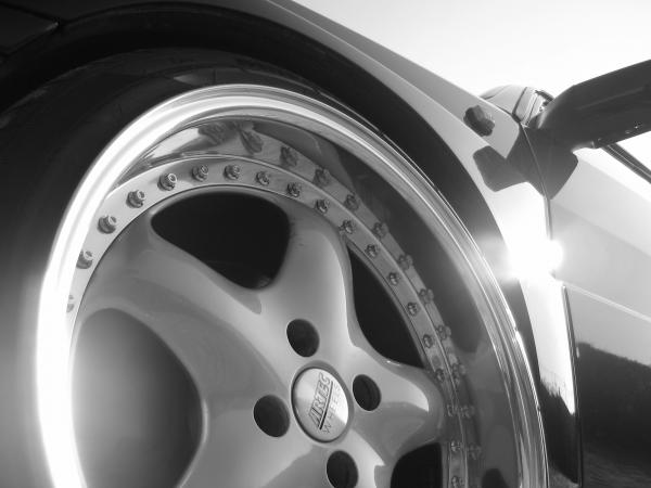 foto k příspěvku  od MiraF