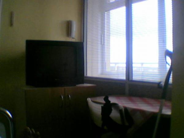 foto k příspěvku  od Paczqo