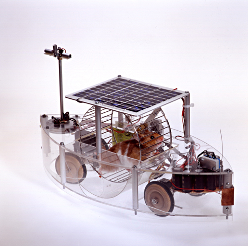 foto k příspěvku  od MarauderZ28