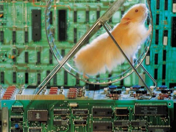 foto k příspěvku  od MarauderZ28