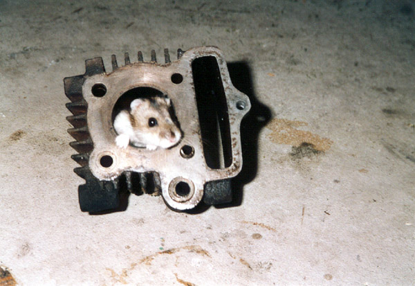 foto k příspěvku  od MarauderZ28