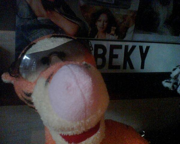 foto k příspěvku  od Beky