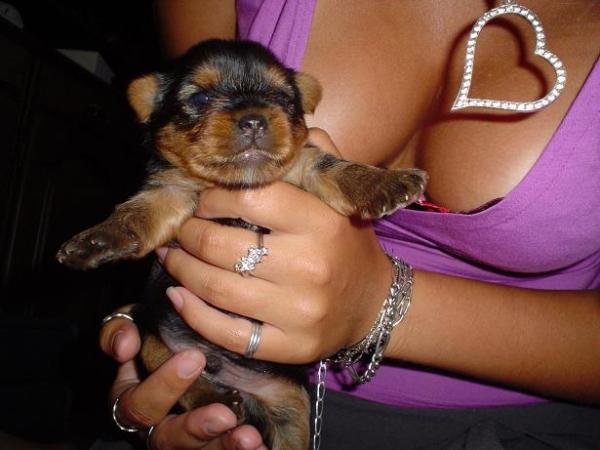 foto k příspěvku  od Thullo