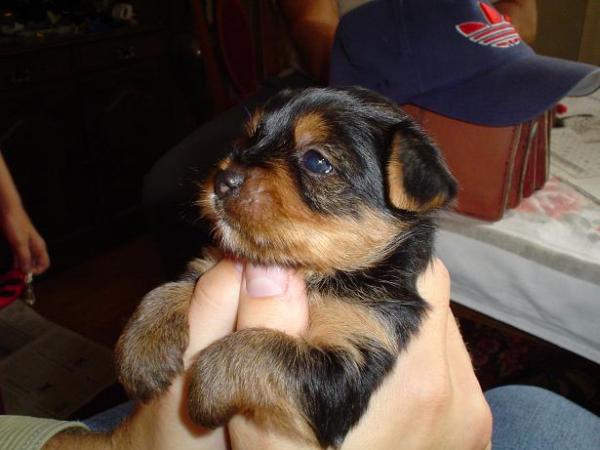 foto k příspěvku  od Thullo