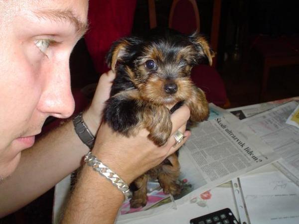 foto k příspěvku  od Thullo