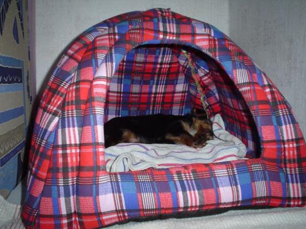 foto k příspěvku  od Thullo