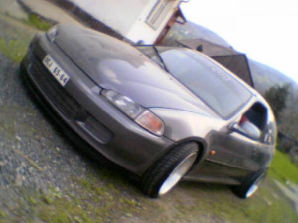 foto k příspěvku  od haskyvr6