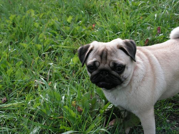 foto k příspěvku  od EFCA