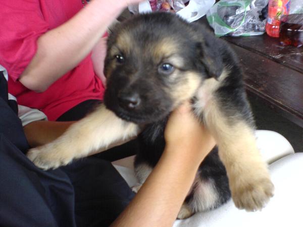 foto k příspěvku  od jozamucha