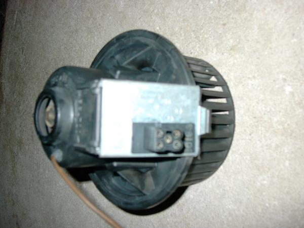 foto k příspěvku  od Magion