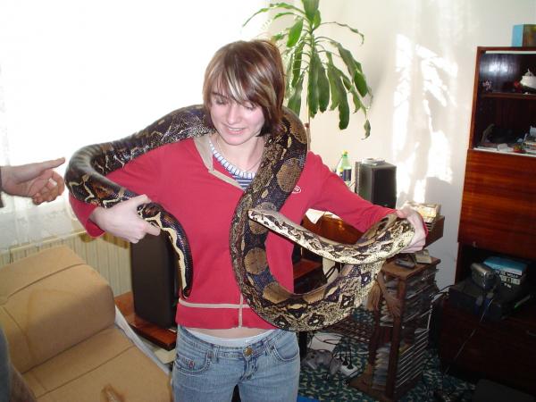 foto k příspěvku  od venito