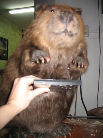 foto k příspěvku  od TROY
