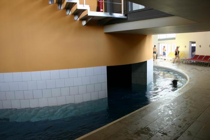 foto k příspěvku  od Smrada