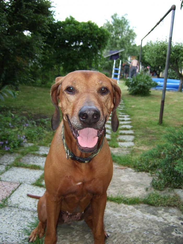 foto k příspěvku  od hanzz