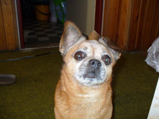 foto k příspěvku  od Nismo.Powerová