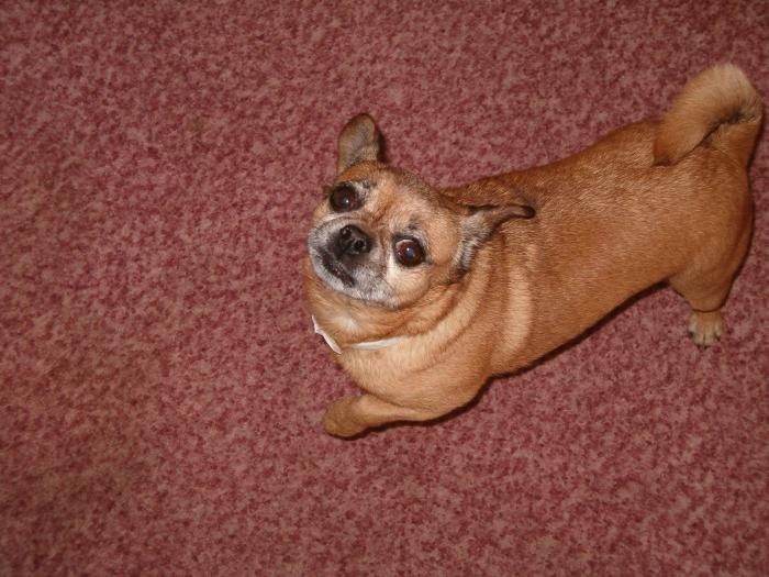 foto k příspěvku  od Nismo.Powerová