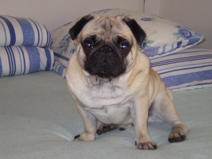 foto k příspěvku  od Beru22