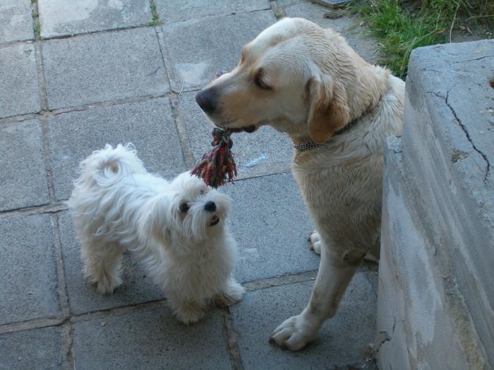 foto k příspěvku  od Nismo.Powerová