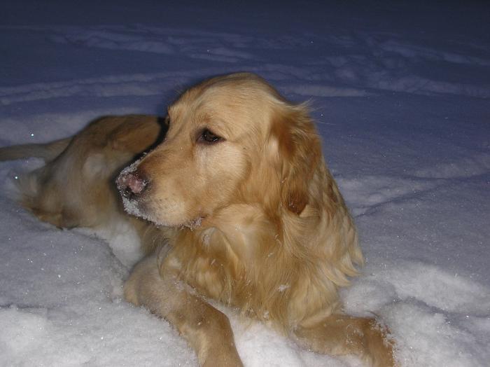 foto k příspěvku  od maca123