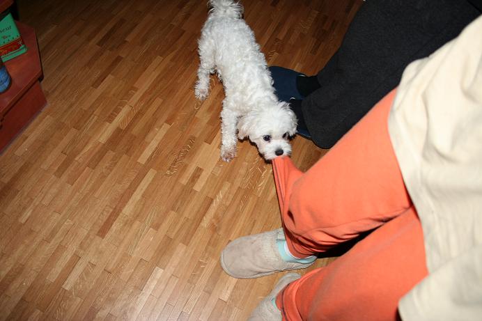 foto k příspěvku  od Nismo.Powerová