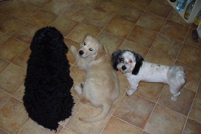 foto k příspěvku  od Kotass