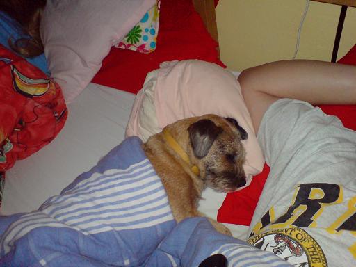 foto k příspěvku  od LUPO