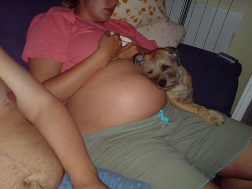 foto k příspěvku  od LUPO