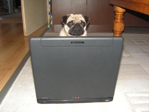 foto k příspěvku  od Peppino