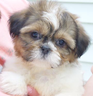 foto k příspěvku  od JuiGin