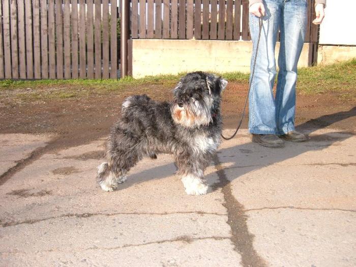 foto k příspěvku  od Honza2.016v