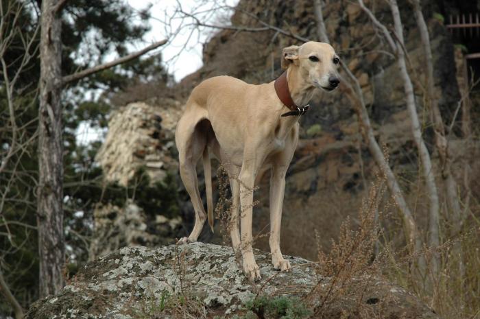 foto k příspěvku  od Nismo.Power