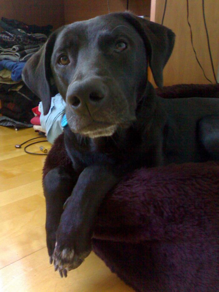 foto k příspěvku  od Enismo