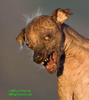 foto k příspěvku  od kafka