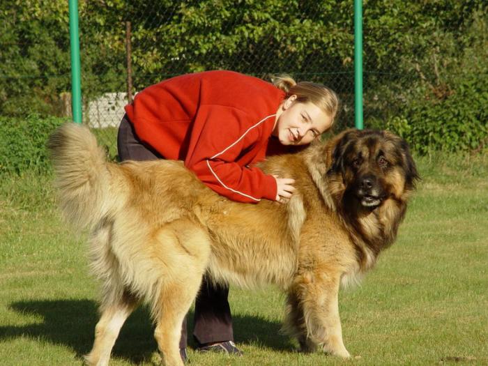 foto k příspěvku  od KFL