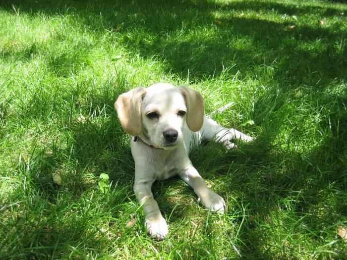 foto k příspěvku  od Francouz