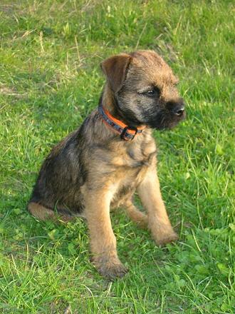 foto k příspěvku  od LUPO