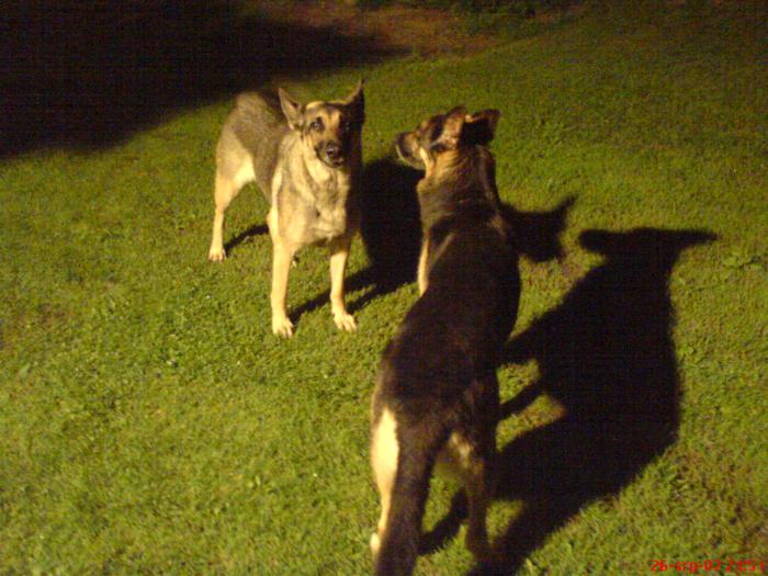 foto k příspěvku  od ACEMajky