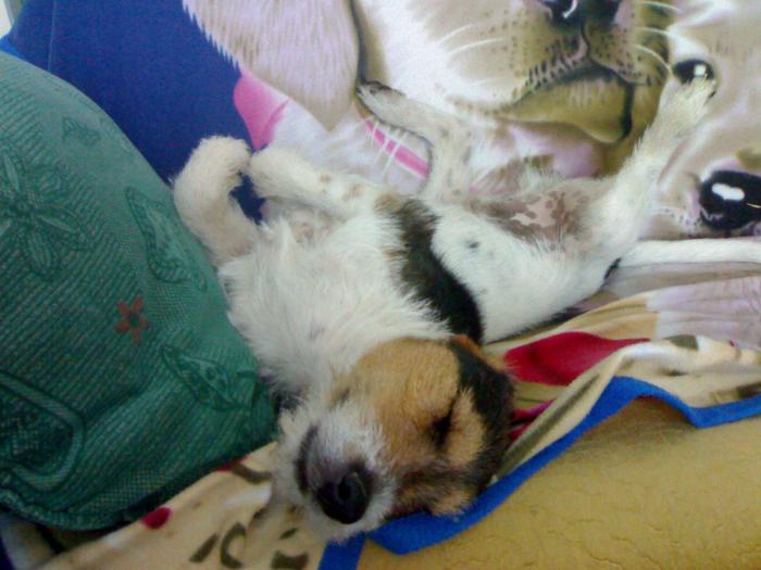 foto k příspěvku  od Enismo