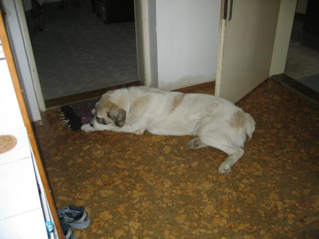 foto k příspěvku  od packer