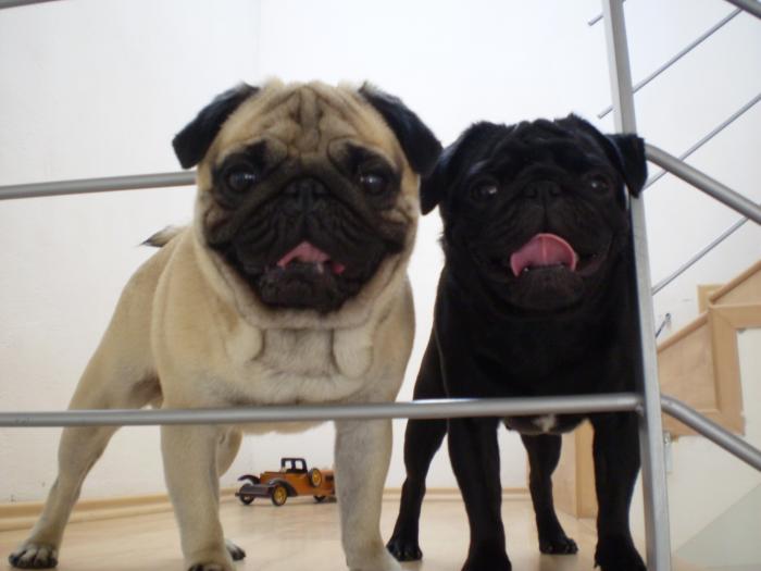 foto k příspěvku  od Beru22