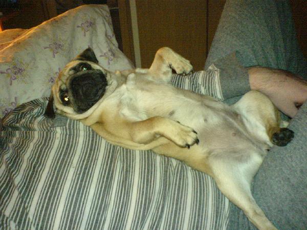 foto k příspěvku  od EFCA