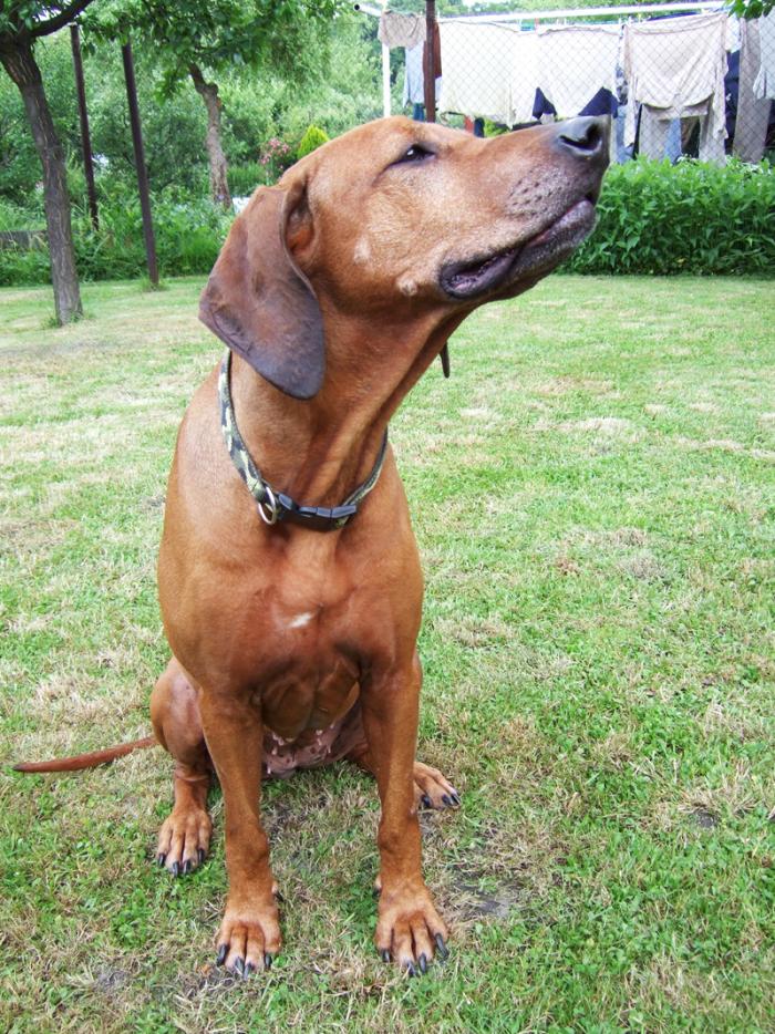 foto k příspěvku  od hanzz