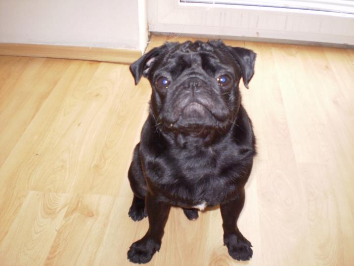 foto k příspěvku  od Beru22