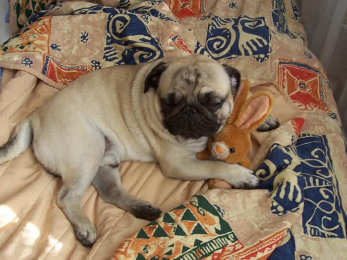 foto k příspěvku  od Beru22