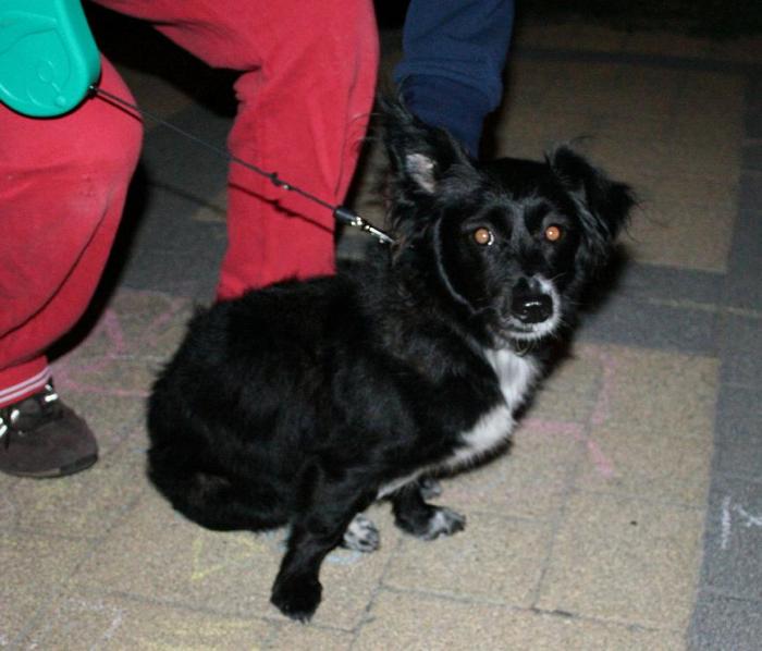 foto k příspěvku  od Nismo.Powerová