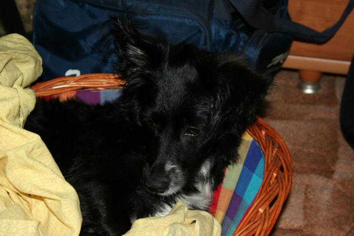 foto k příspěvku  od Nismo.Powerová