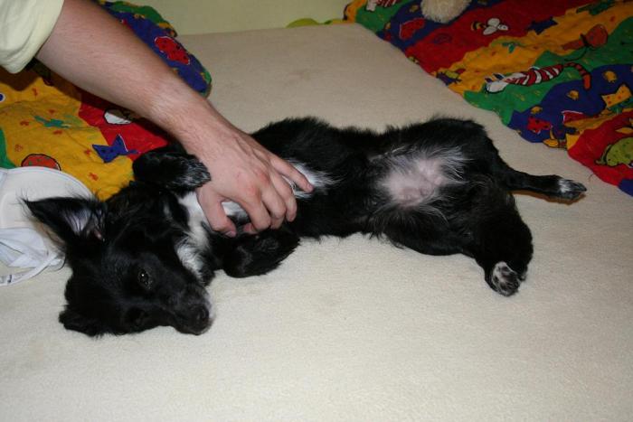 foto k příspěvku  od Nismo.Powerová