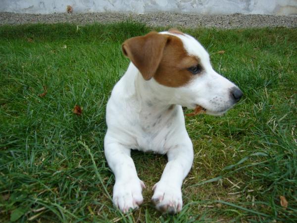 foto k příspěvku  od DiDa